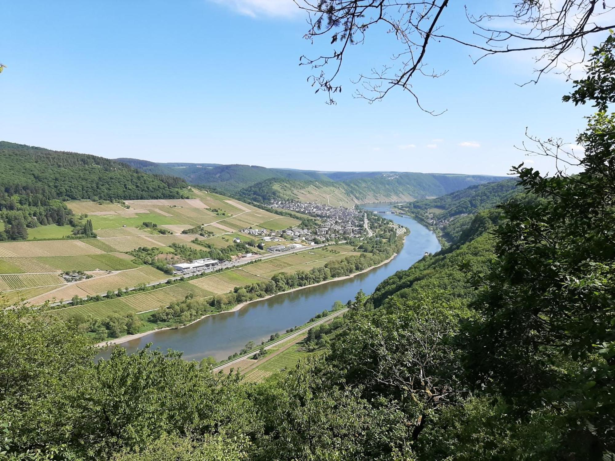 Residenz Moselstausee Sankt Aldegund Esterno foto