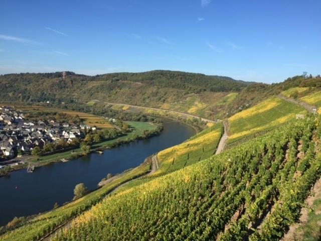 Residenz Moselstausee Sankt Aldegund Esterno foto