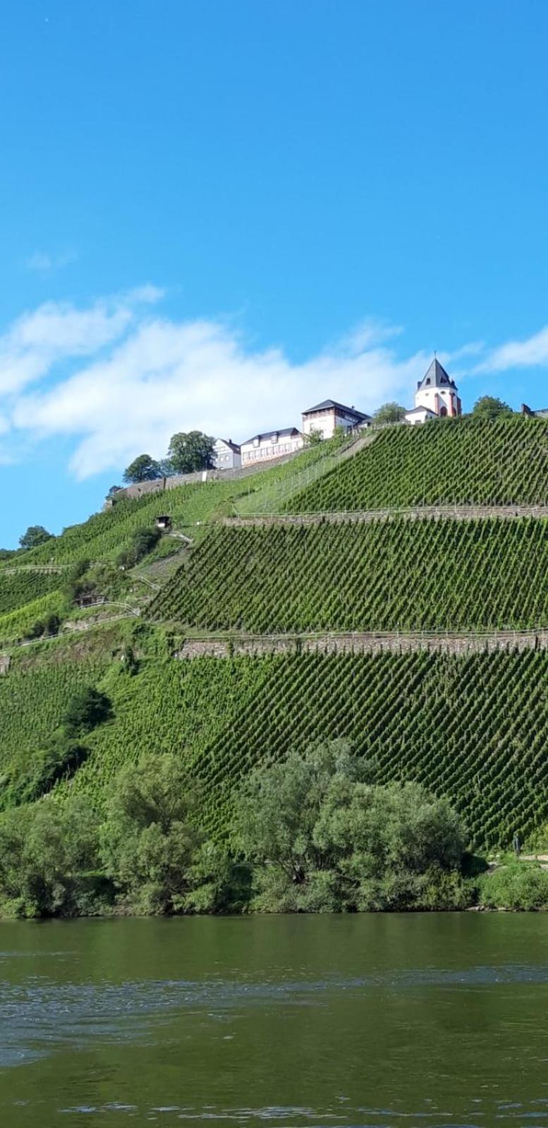Residenz Moselstausee Sankt Aldegund Esterno foto