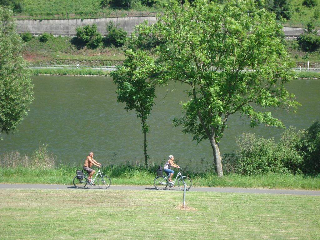 Residenz Moselstausee Sankt Aldegund Esterno foto