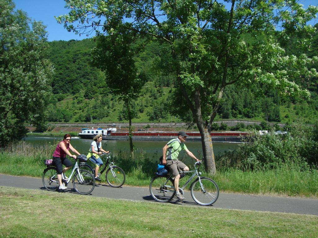 Residenz Moselstausee Sankt Aldegund Esterno foto